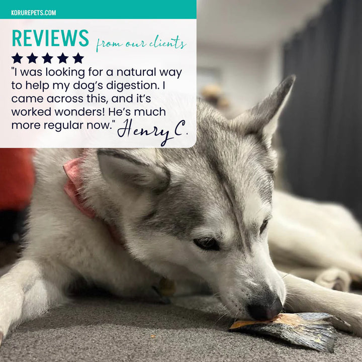 Korure Pets NZ King Salmon Tails 80g