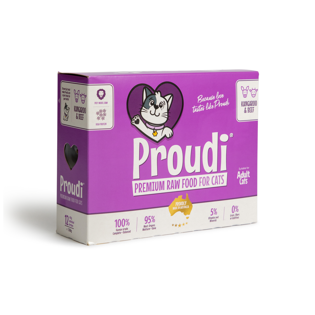 Proudi cat food best sale