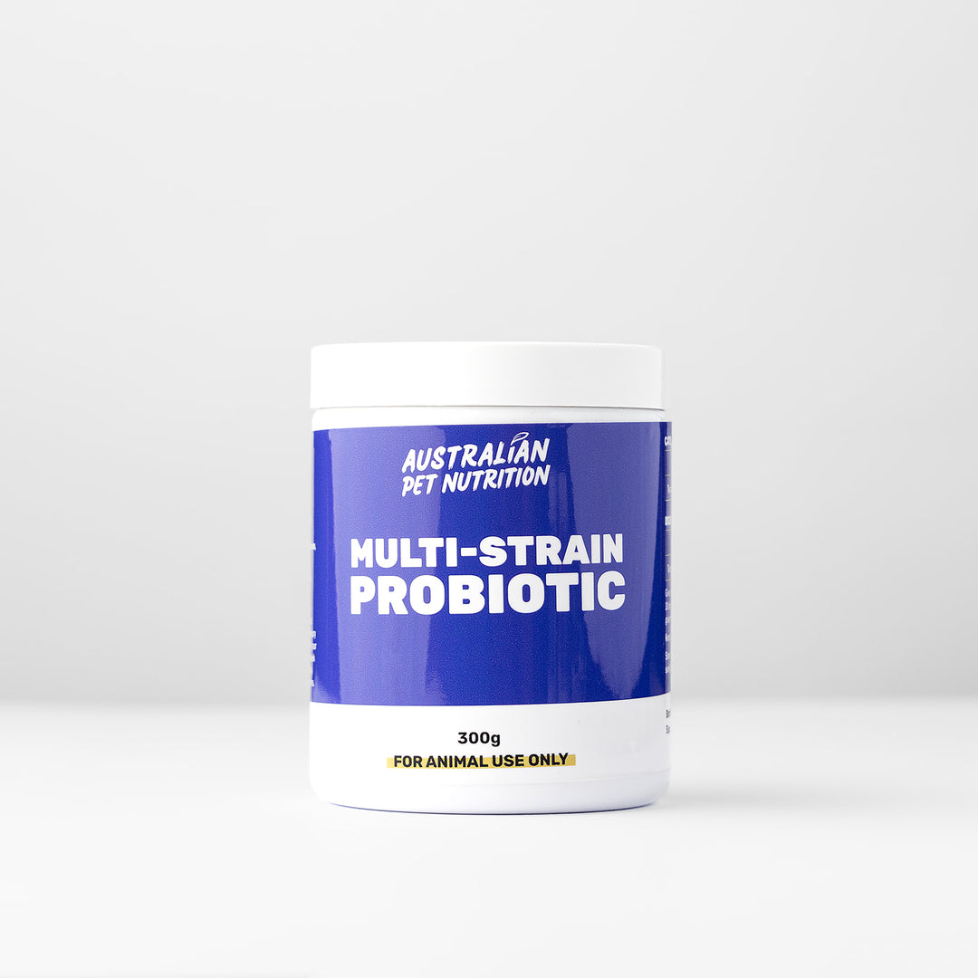 Multistrain Probiotic