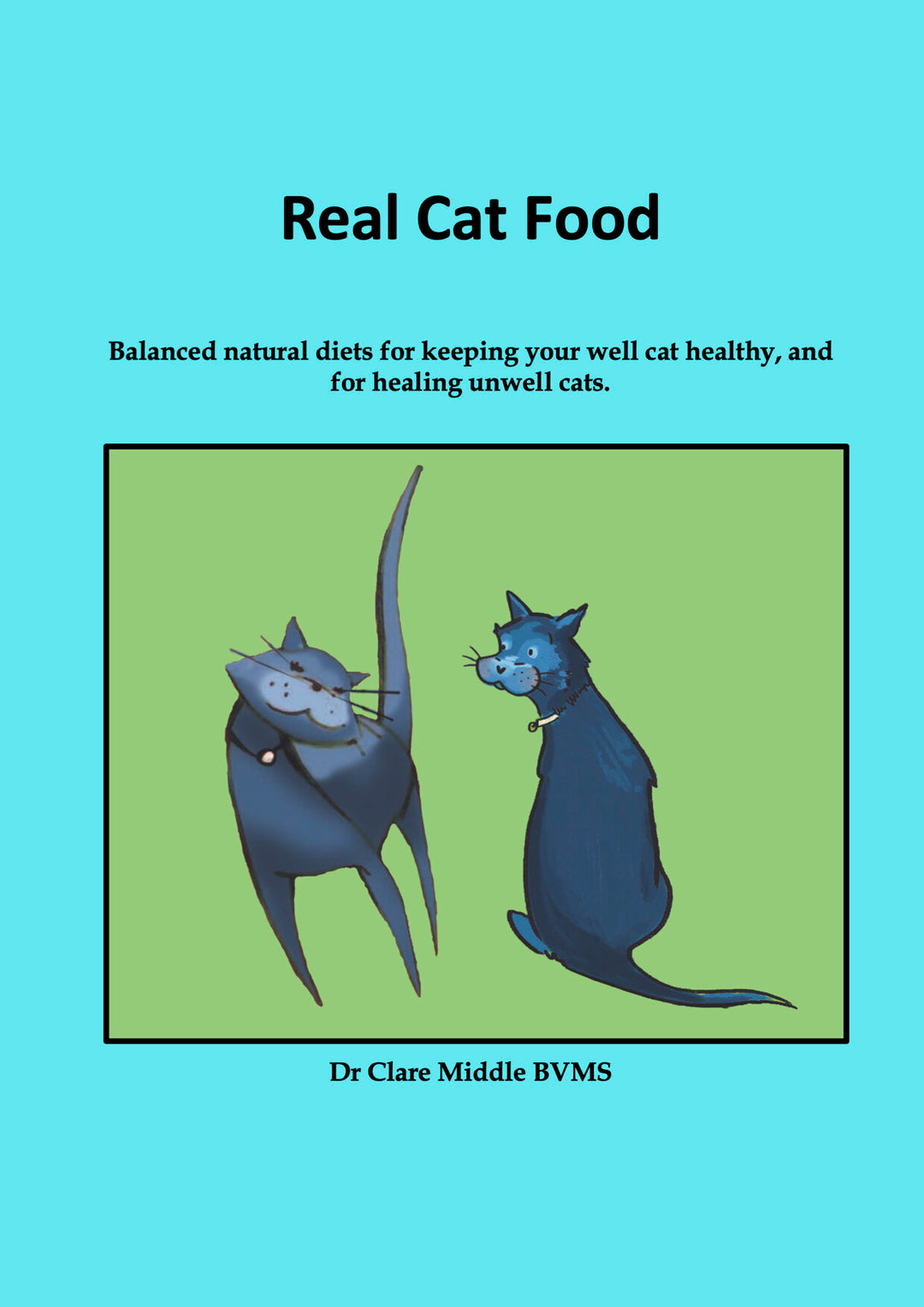 Real Cat Food by Dr Clare Middle