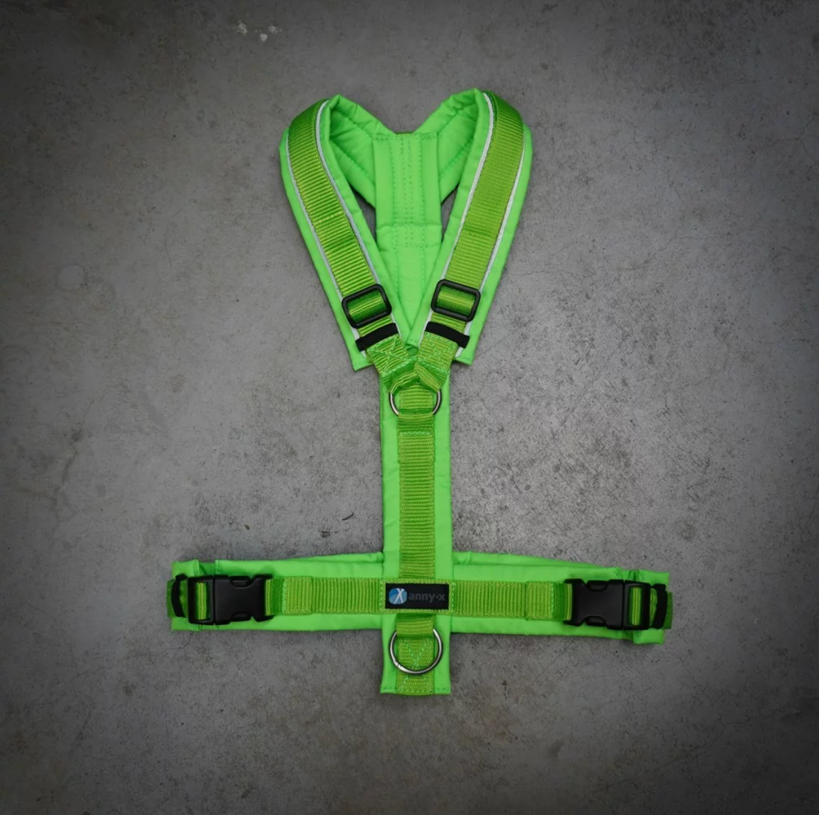 Anny.x Harness Fun