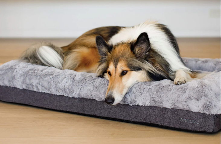 Snooza Ultra Comfort Lounge Bed