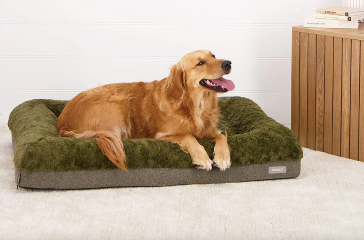 Snooza Ultra Comfort Lounge Bed