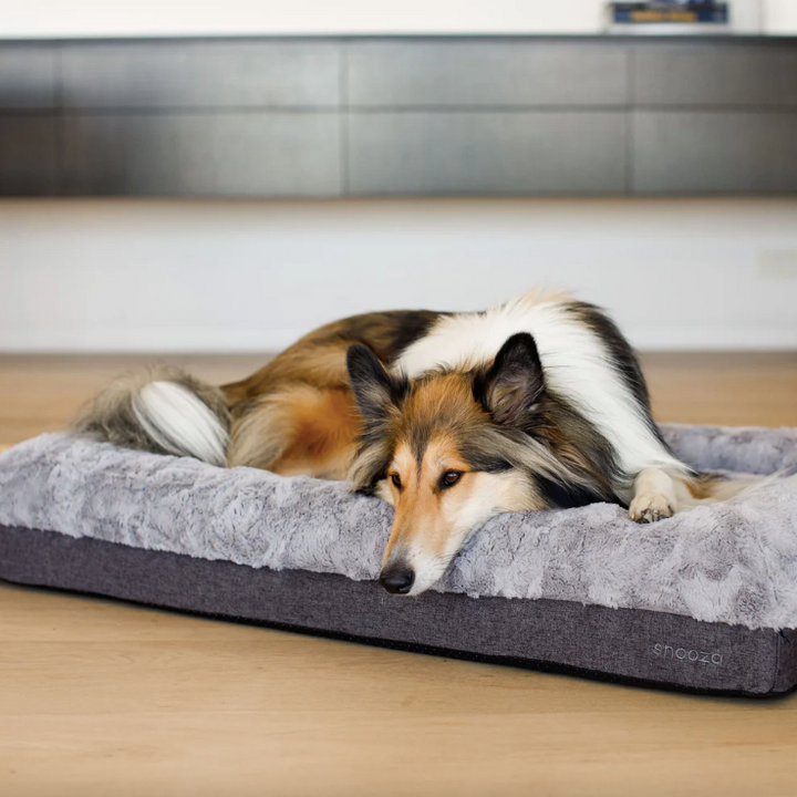 Snooza Ultra Comfort Lounge Bed