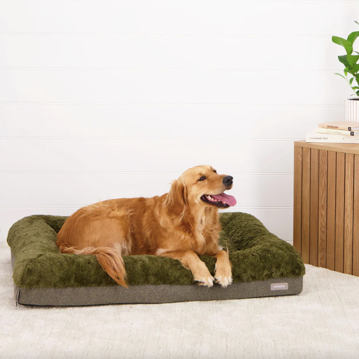 Snooza Ultra Comfort Lounge Bed