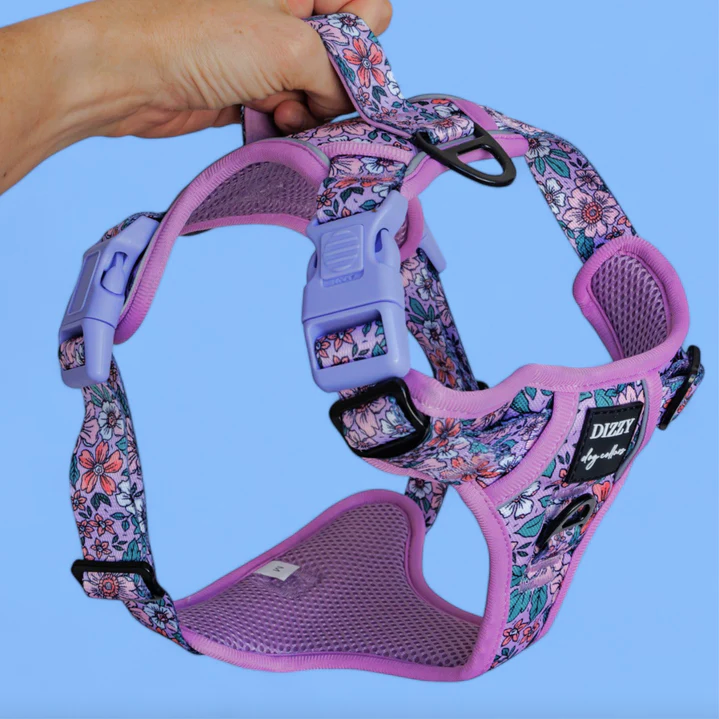 Reflective Step In Easy Reach Handle Harness