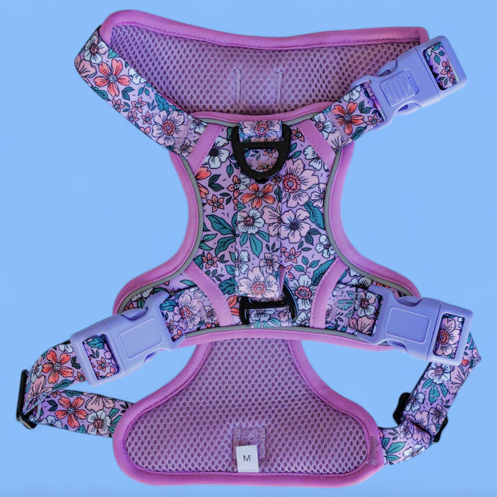 Reflective Step In Easy Reach Handle Harness