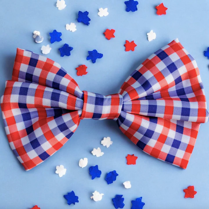 Dizzy Bow Tie