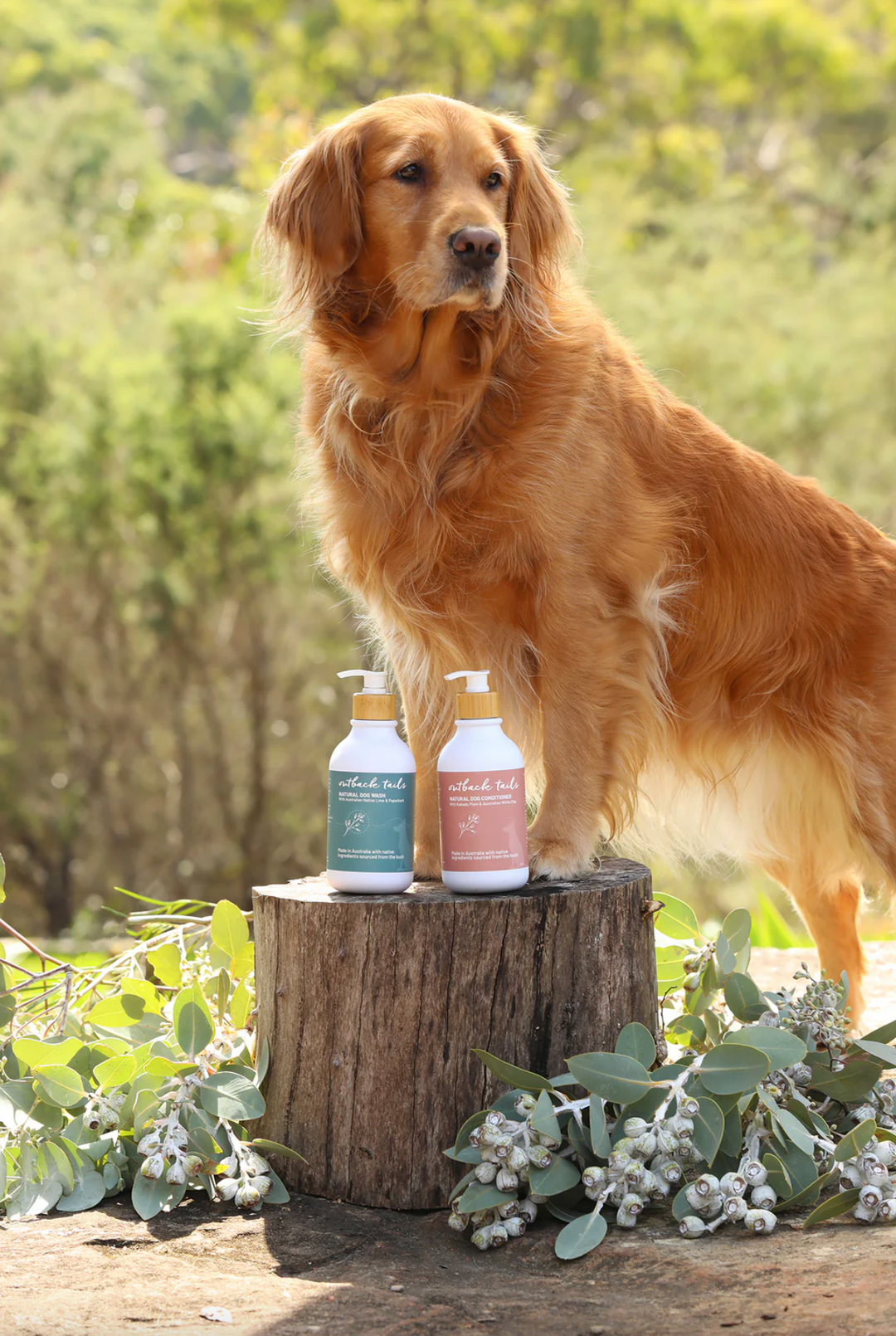 Natural Dog Conditioner 500ml (w/Native Kakadu Plum & Australian White Clay) *