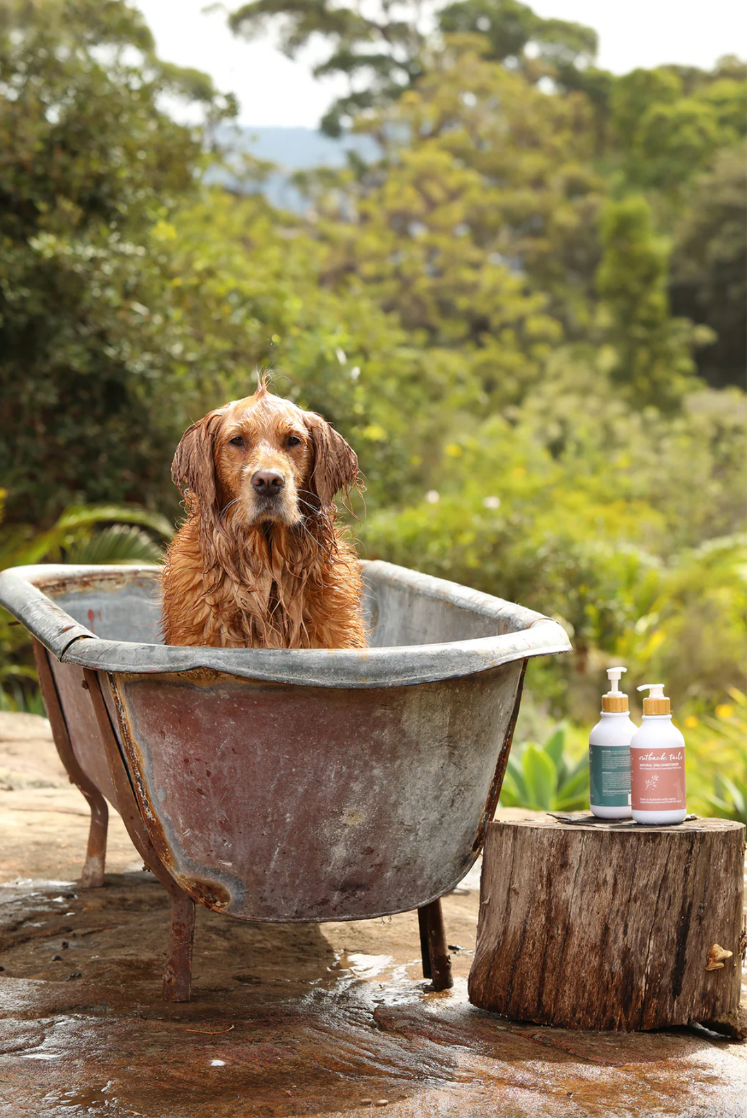 Natural Dog Conditioner 500ml (w/Native Kakadu Plum & Australian White Clay) *