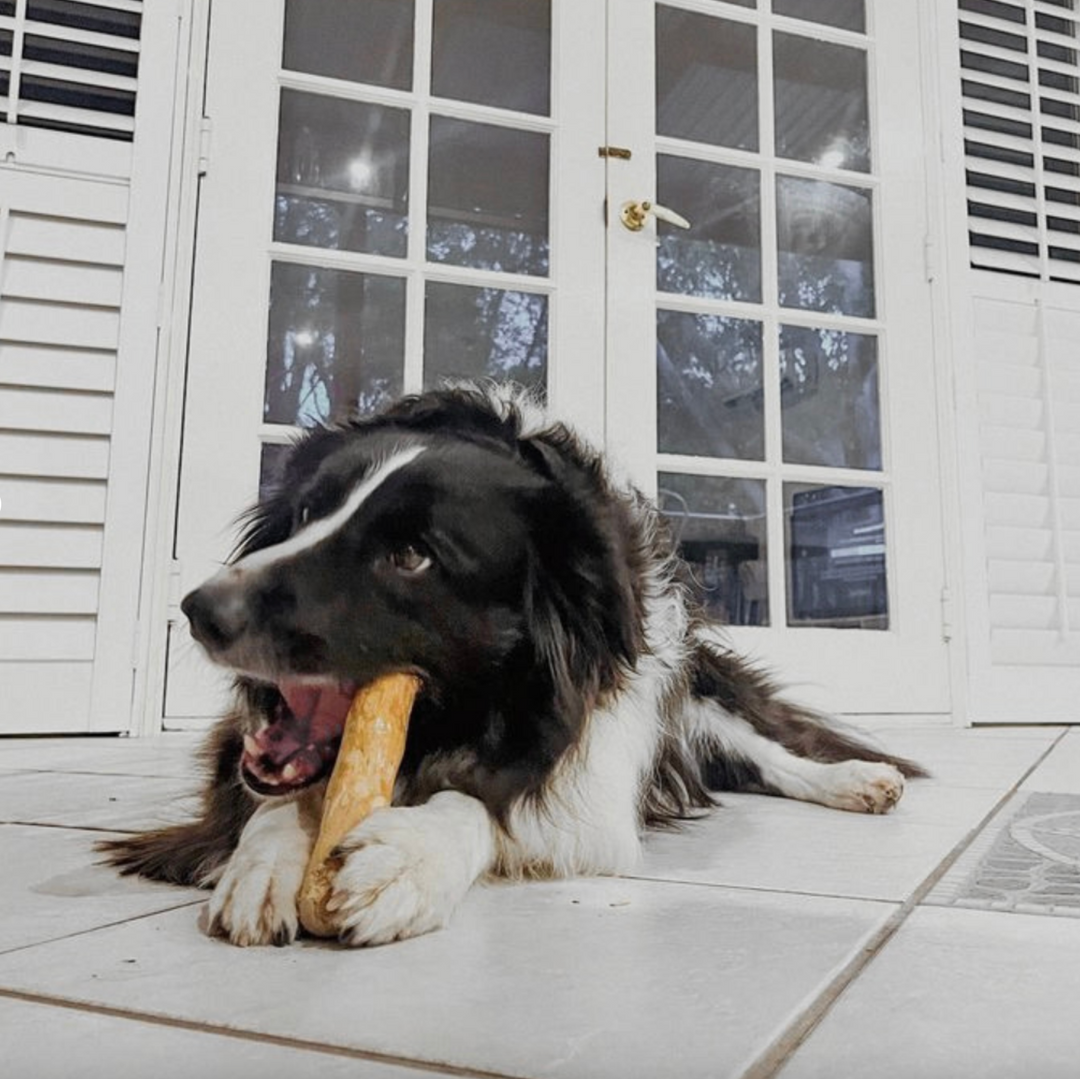 Coffee Wood Chew Toy