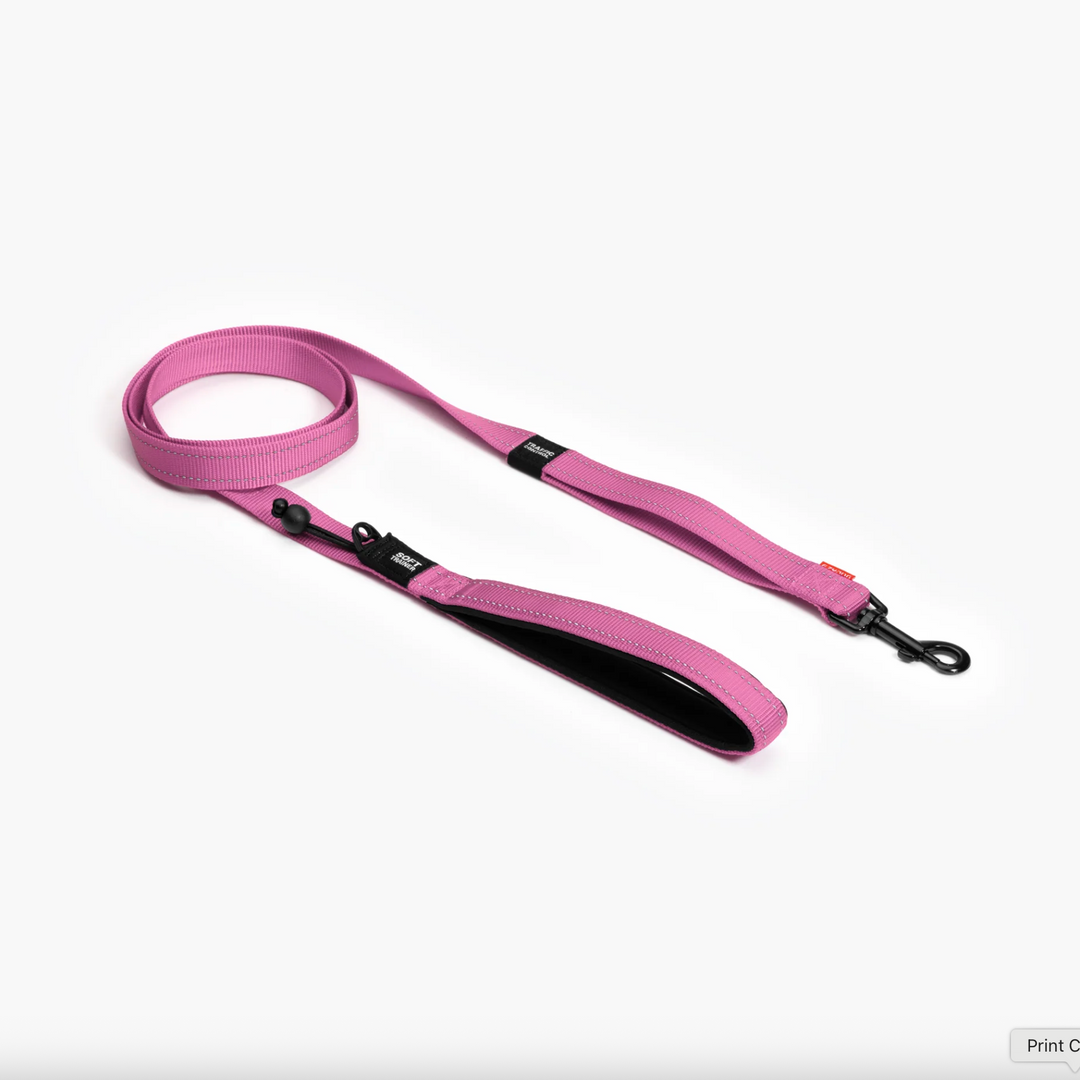 Soft Trainer Leash
