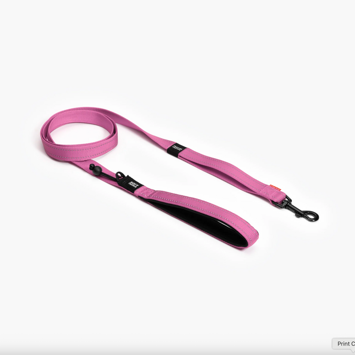 Soft Trainer Leash