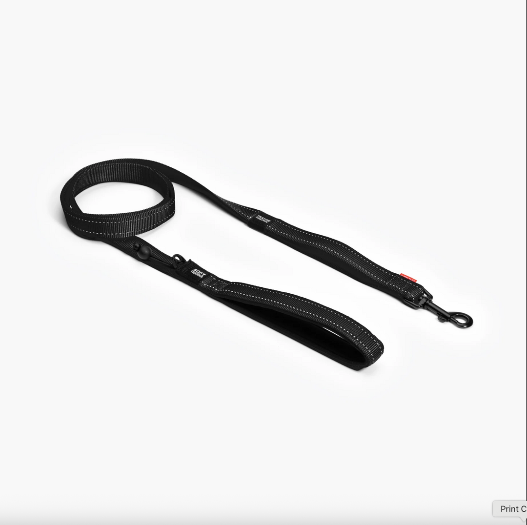 Soft Trainer Leash