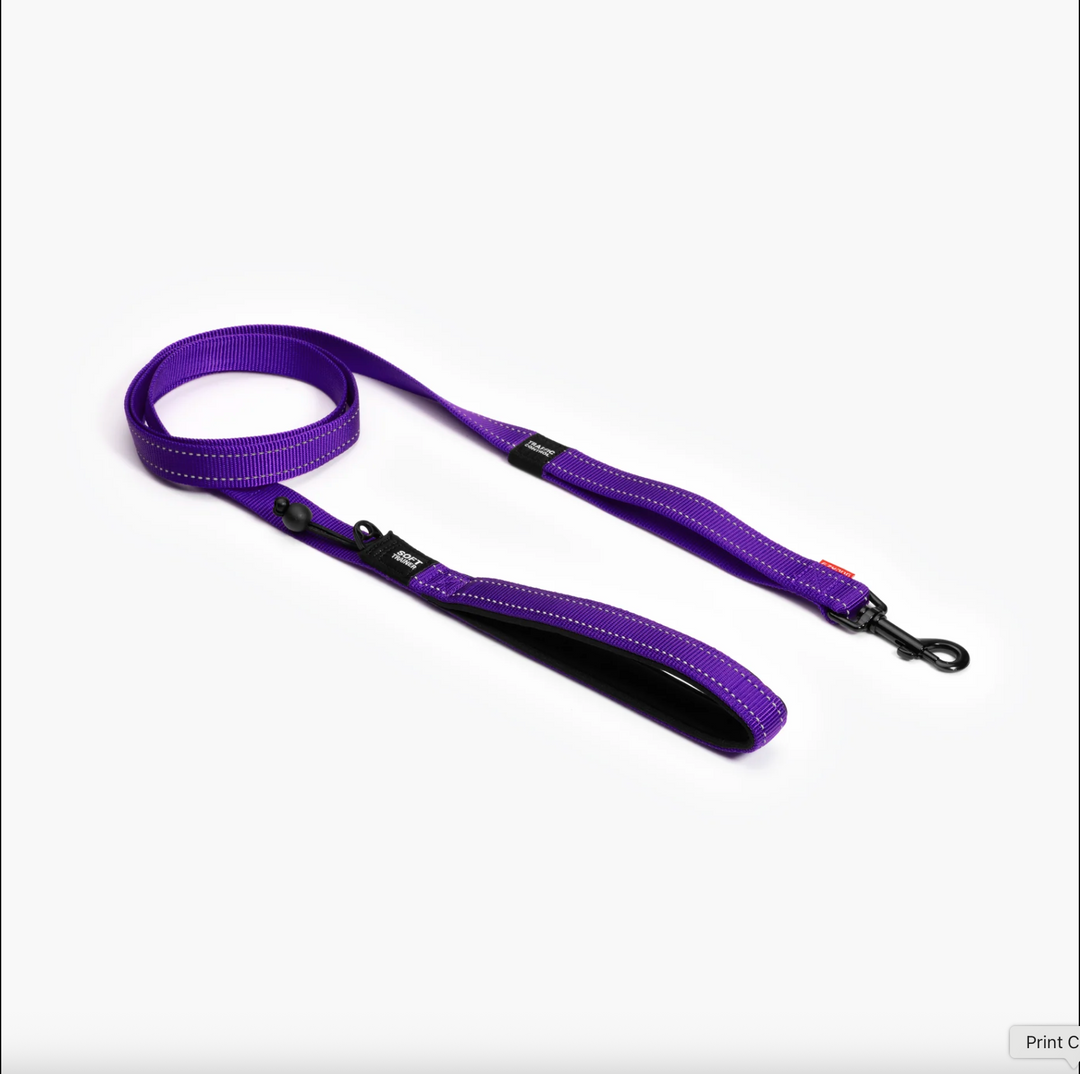 Soft Trainer Leash