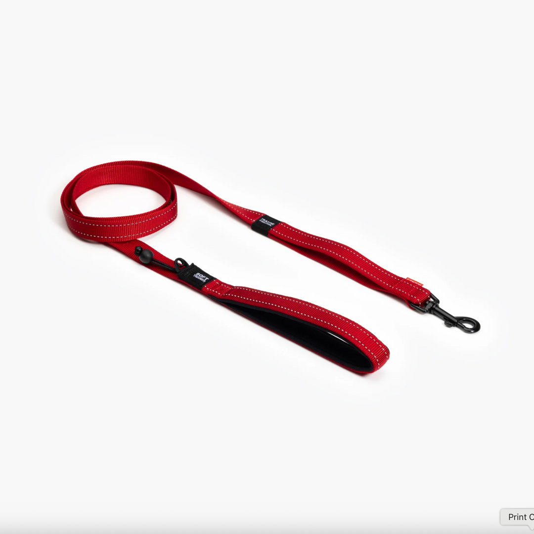 Soft Trainer Leash