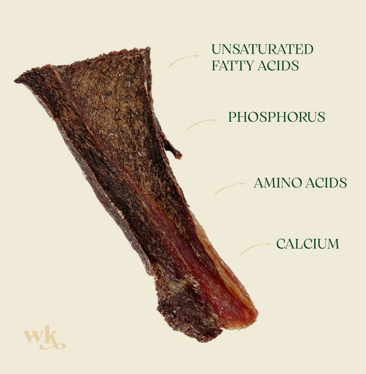 Wildkind Western Desert Camel Jerky 100g