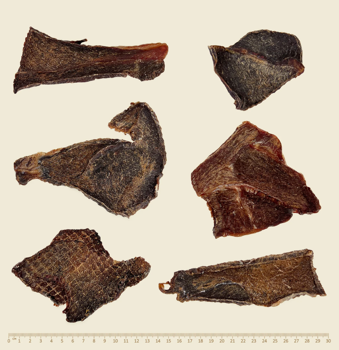 Wildkind Western Desert Camel Jerky 100g