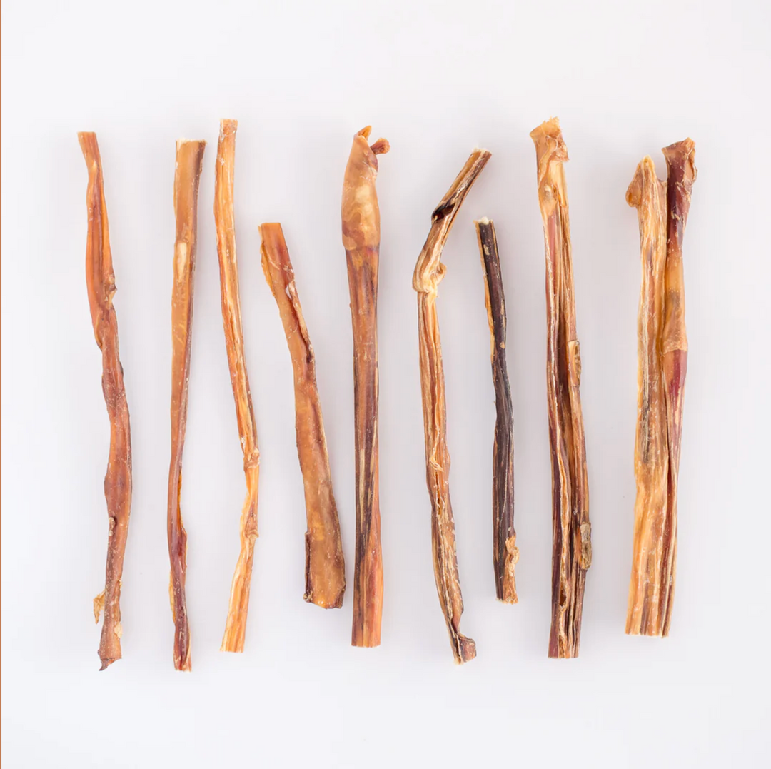 30cm Beef Pizzle Single
