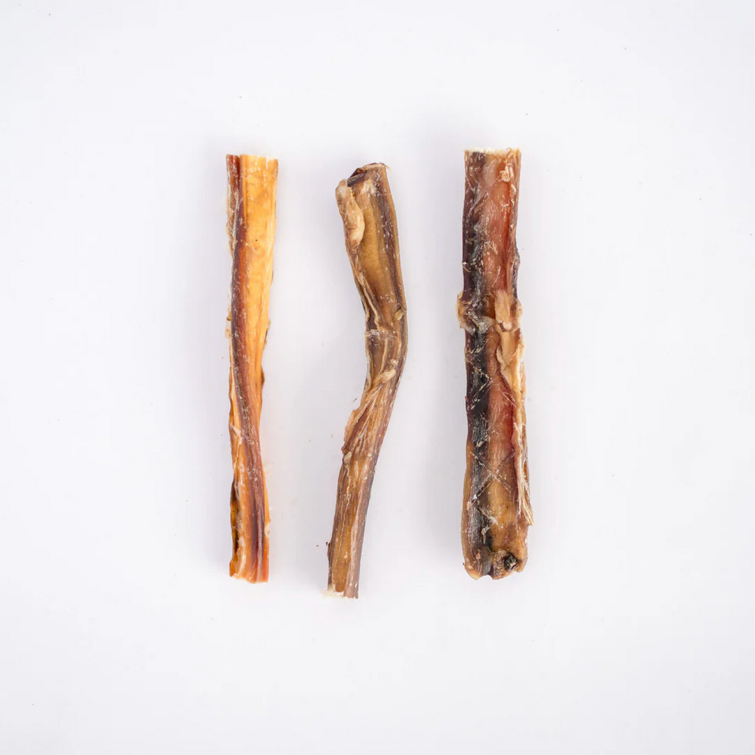 15cm Beef Pizzle Single