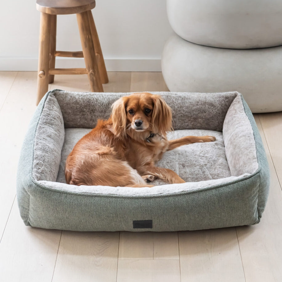 Superior Dog Lounger Bed Sage*