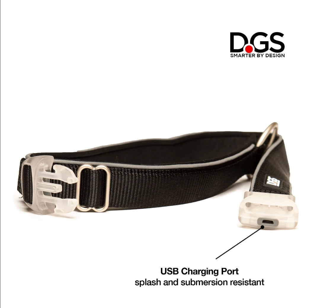 LED Safety Collar