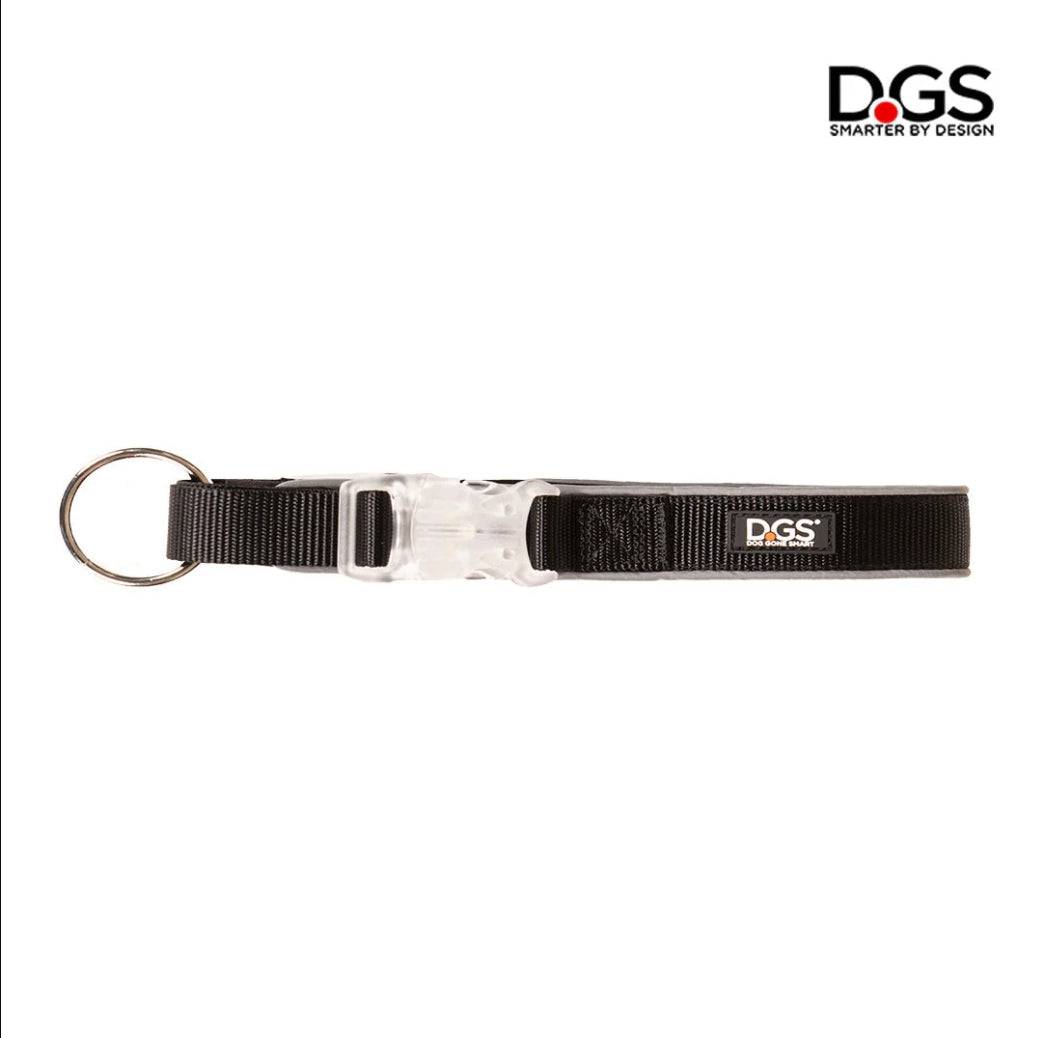 LED Safety Collar