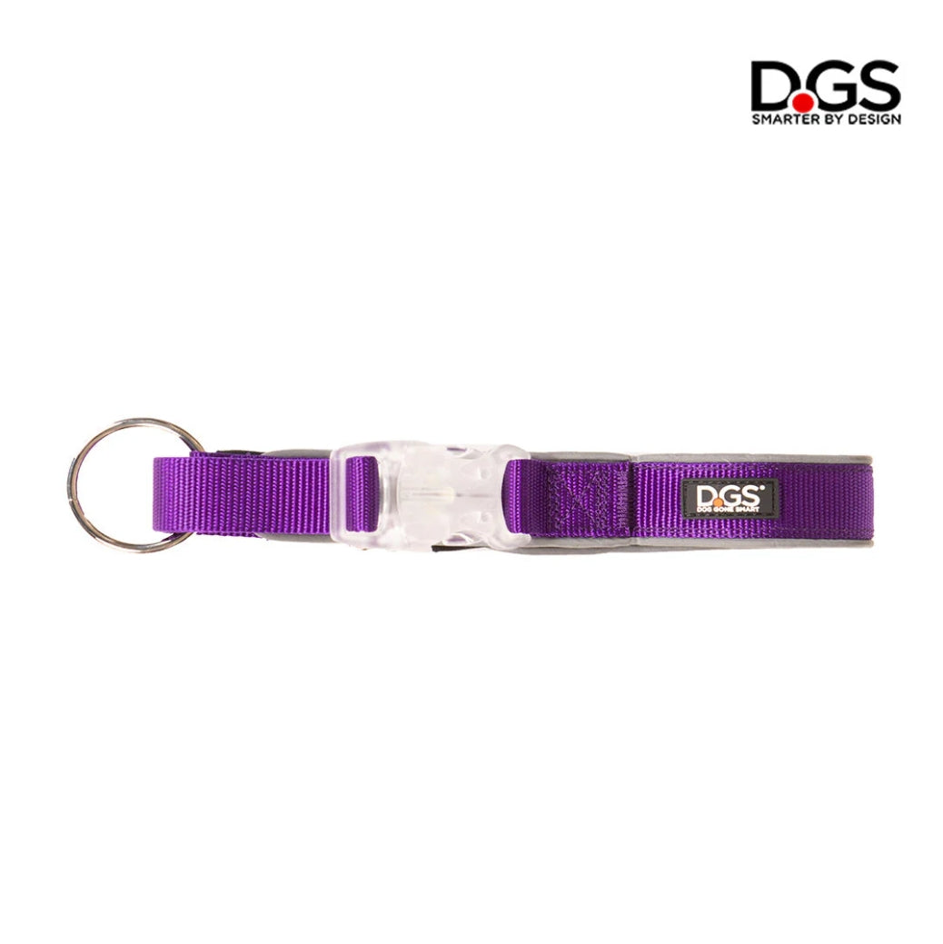LED Safety Collar
