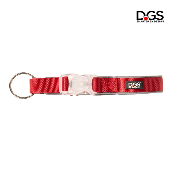 LED Safety Collar