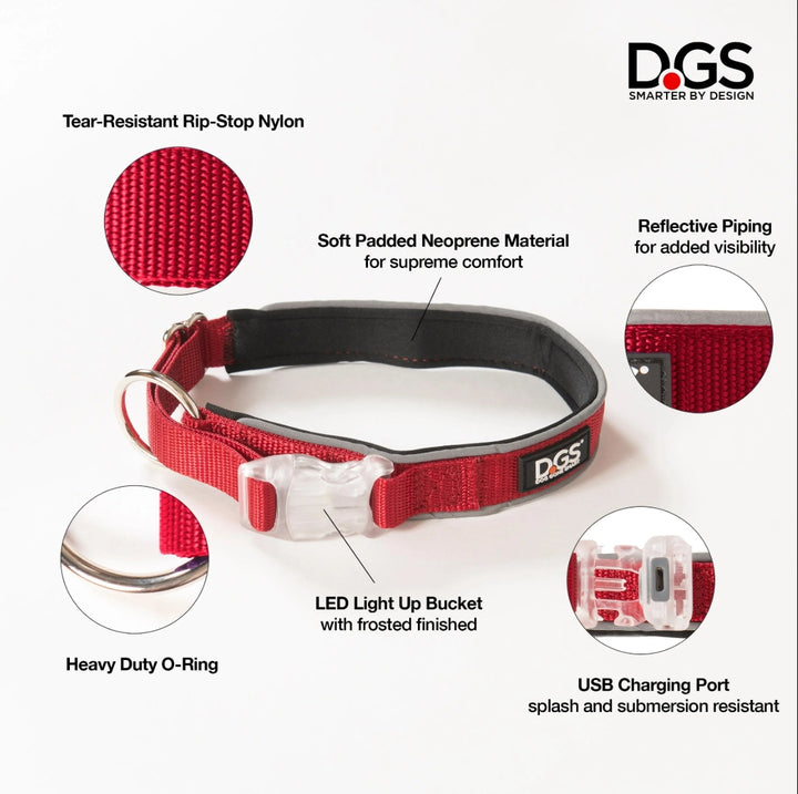 LED Safety Collar