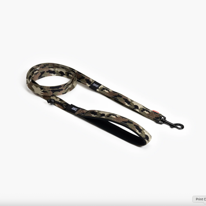 Soft Trainer Leash