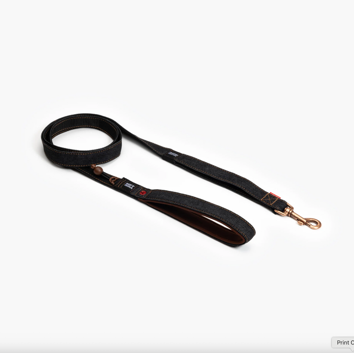 Soft Trainer Leash