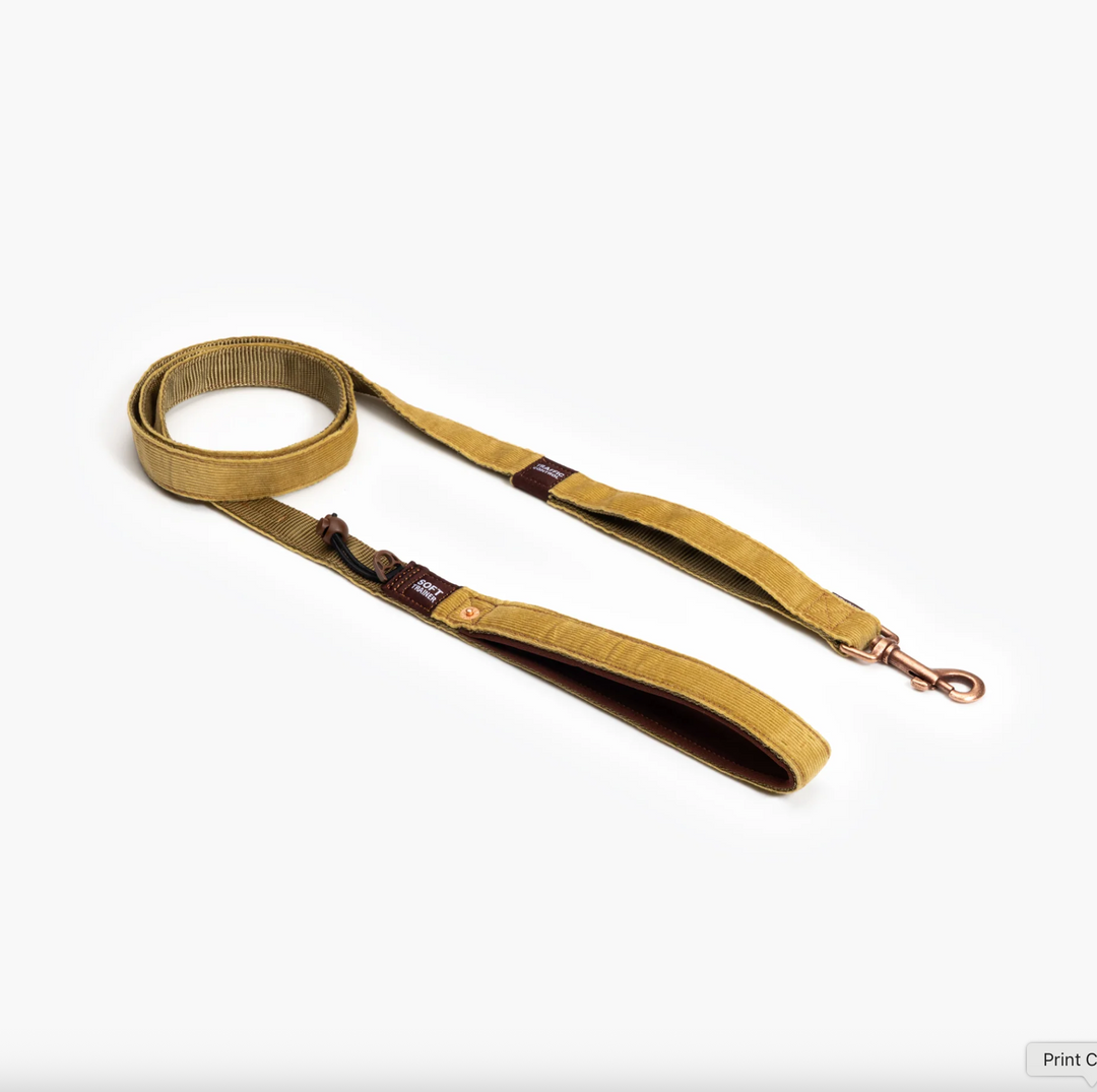 Soft Trainer Leash