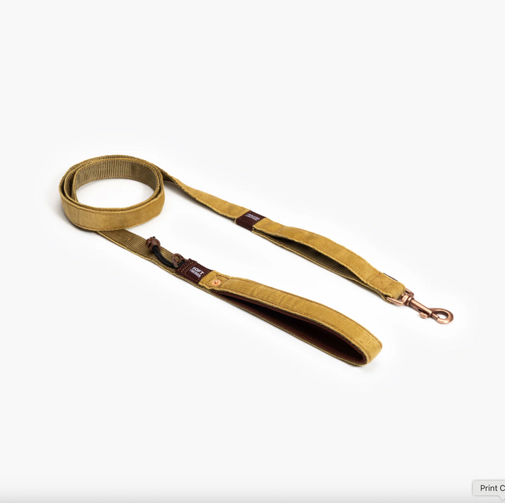 Soft Trainer Leash
