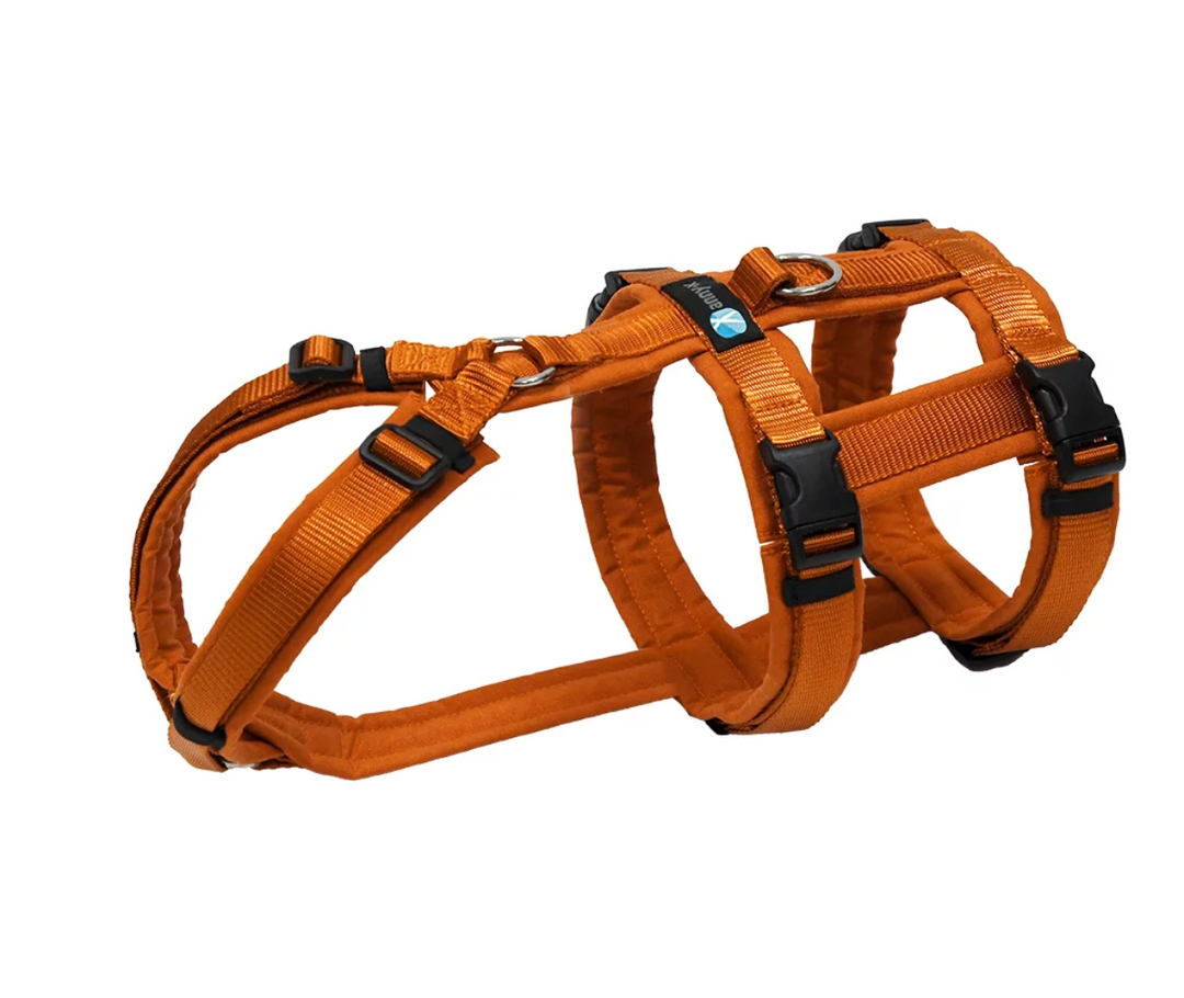 Anny.x Harness Safety (Escape Proof)