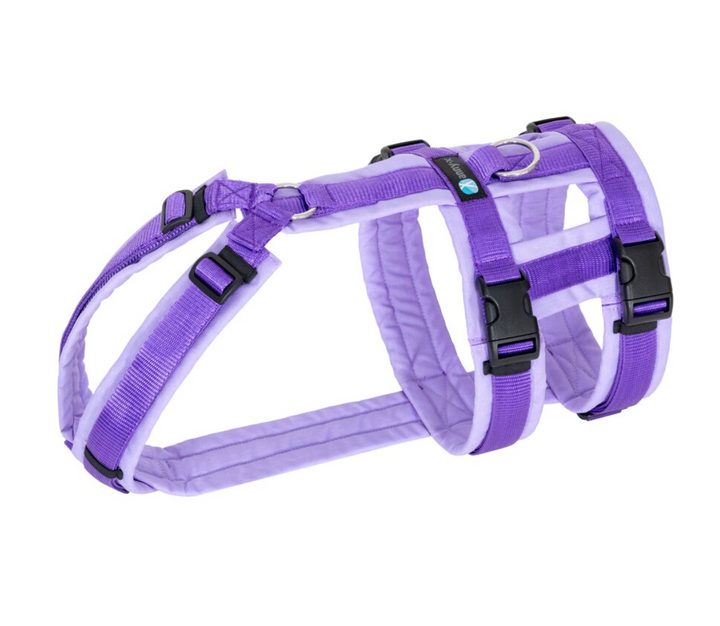 Anny.x Harness Safety (Escape Proof)