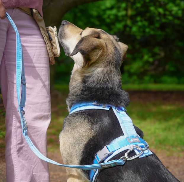 Anny.x Harness Fun