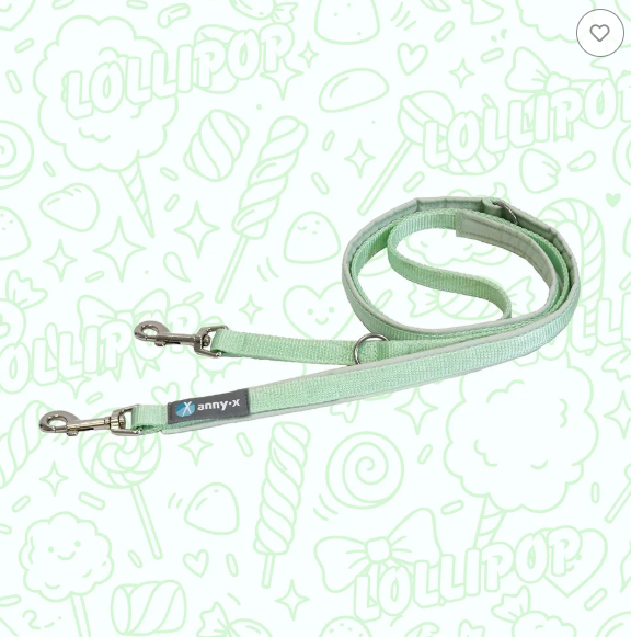 Anny.x Leash Classic Bolt Fun