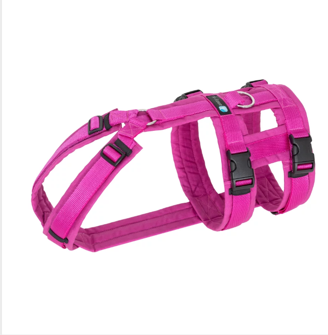 Anny.x Harness Safety (Escape Proof)