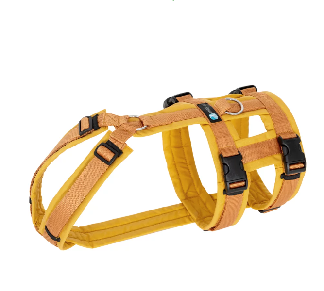 Anny.x Harness Safety (Escape Proof)