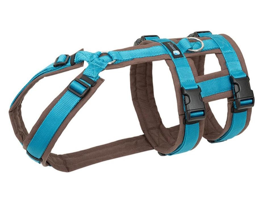 Anny.x Harness Safety (Escape Proof) – Aussie Pooch Nutrition