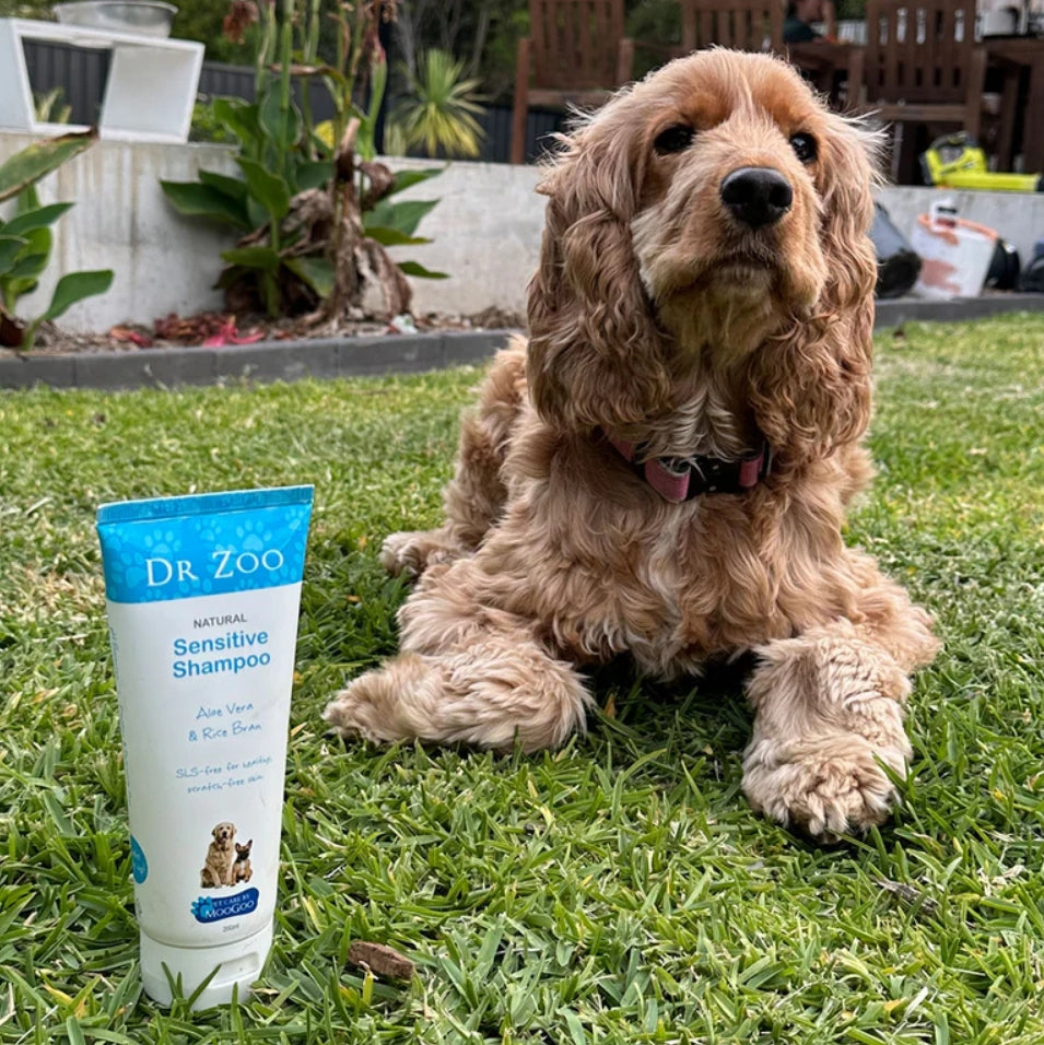 Dr Zoo Natural Sensitive Shampoo
