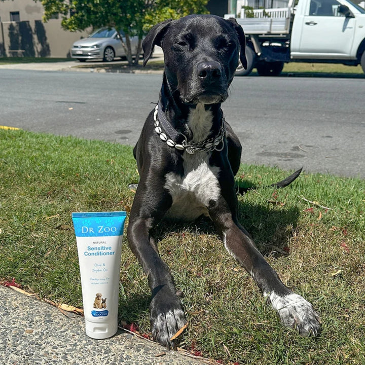 Dr Zoo Natural Sensitive Conditioner