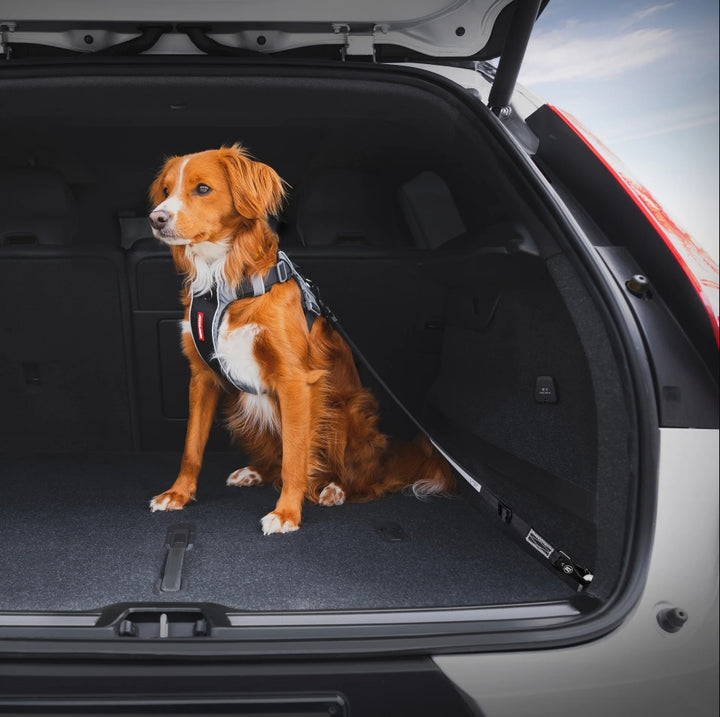 'Click' ISOFIX Car Restraint