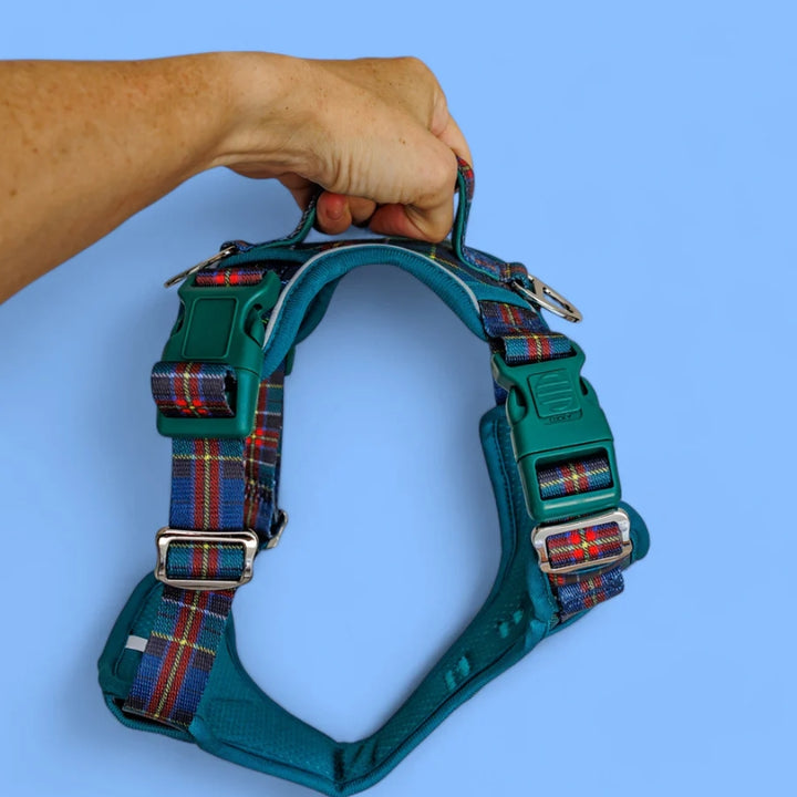 Reflective Step In Easy Reach Handle Harness