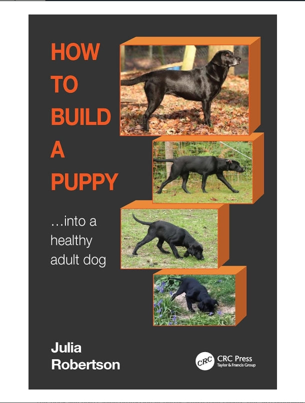 How To Build A Puppy: Into A Healthy Adult Dog