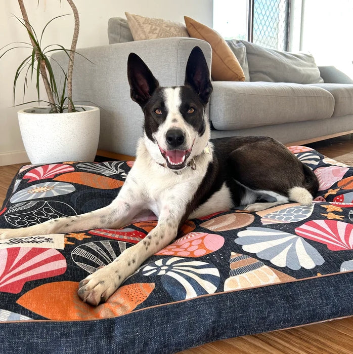 Indie Boho Pet Bed XXL