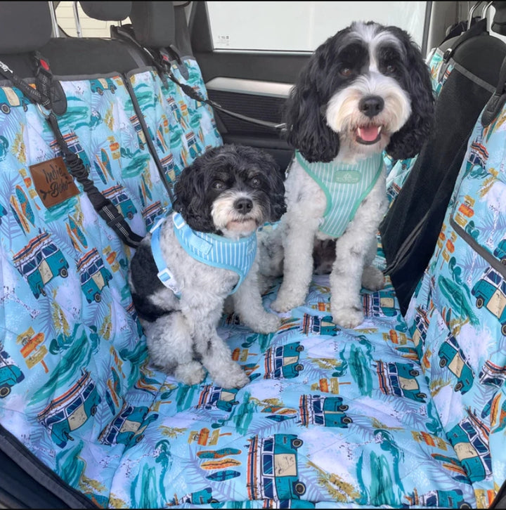 Indie Boho  2-in-1 Car Hammock *