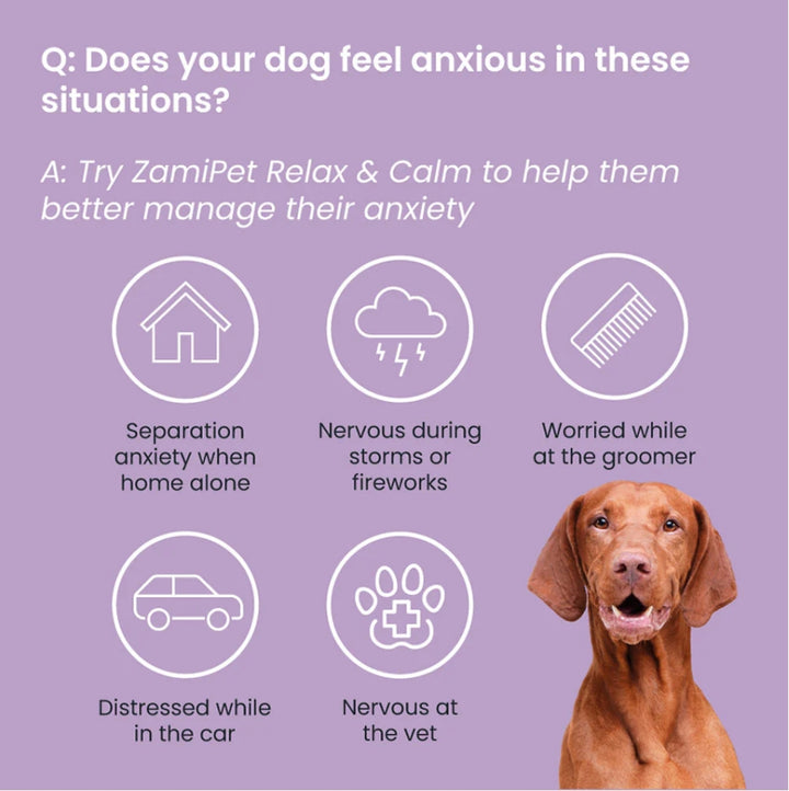 ZamiPet Relax & Calm Dog Chews