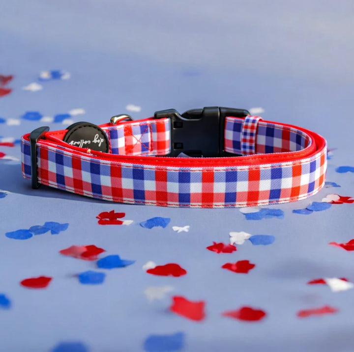 Red & Blue Gingham Canvas & Neoprene Dog Collar